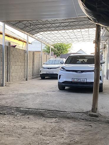 BYD: BYD : 2020 г., Электромобиль, Кроссовер — 2