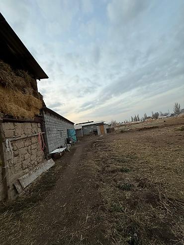 купить бункер: Продается жилой дом с приусадебным участком и хозпостройками. Район — 2
