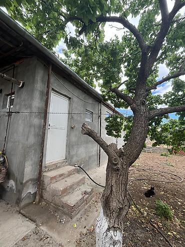 saray heyet ev type 1: Satılır: həyət evi və torpaq sahəsi Ümumi xüsusiyyətlər: - Həyətyanı — 2