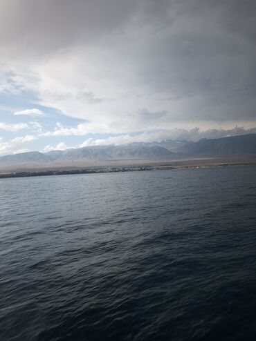 шланг для полив: Вода, забиваем скважины