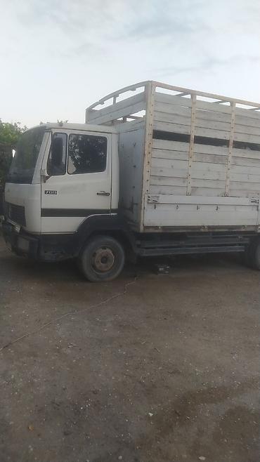 255 35 19: Mercedes-Benz 1996 il, motor 3.9 l, Bort, İşlənmiş — 2