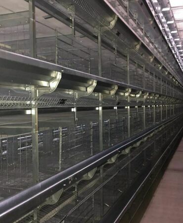 Qidalandırıcılar: Yem qabı, Yem üçün, Quşlar üçün, Rayonlara çatdırılma, Ünvandan götürmə, Pulsuz çatdırılma — 24