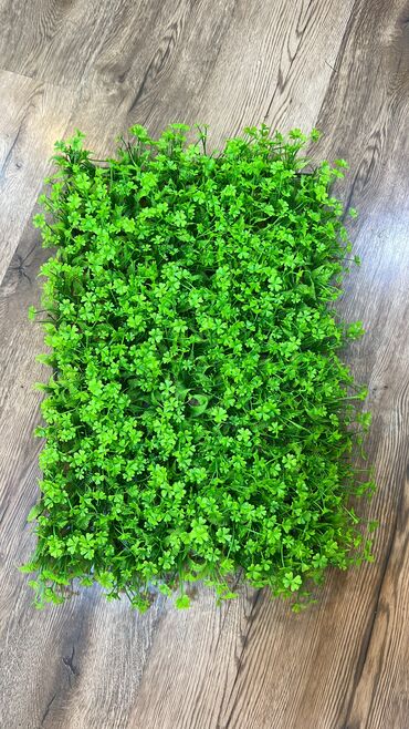 Digər tikinti materialları: Depodan bir basa satis 5$ baslayan dekorlar Topdan ve perakenden satis — 3