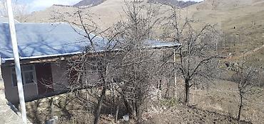 razin kiraye evler heyet: 4 otaqlı, 120 kv. m, Kredit yoxdur, Orta təmir — 5