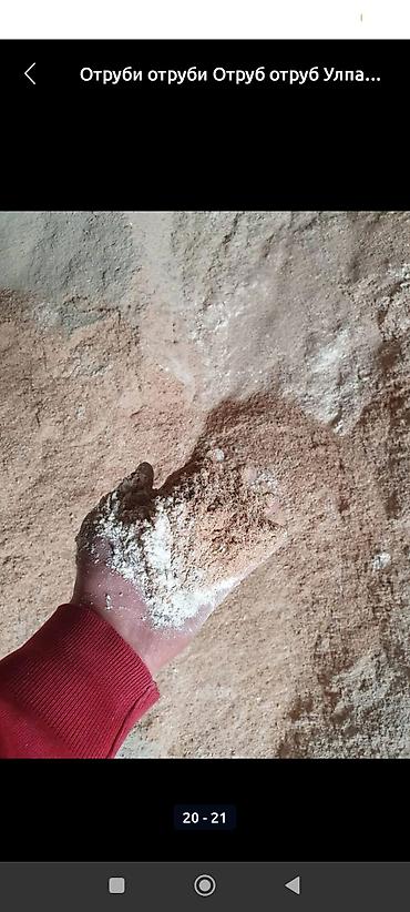 Корма для с/х животных: Улпак отруби кебек оптом - Натуральные отруби крупного и среднего — 2