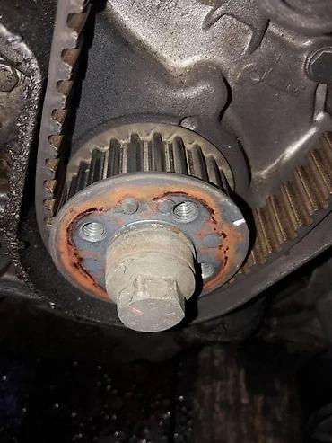 piter auto plac borca: ALFA ROMEO 1.9 120 KONJA REMENICA RADILICE | Alfa Romeo 1.9 120 — 1