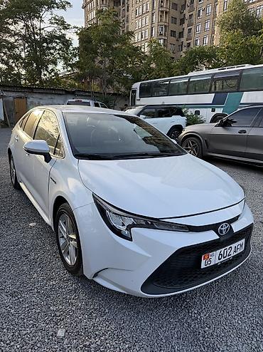 levin: Toyota Levin: 2020 г., 1.8 л, Автомат, Гибрид, Седан — 3