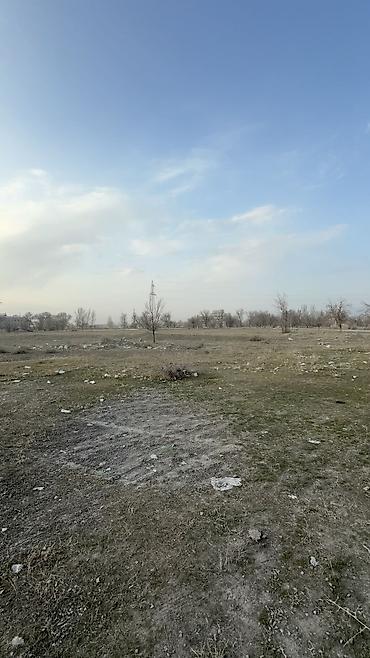 участок в центре города: 280 соток, Красная книга — 7