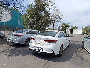 sonata: Hyundai Sonata: 2020 г., 2 л, Автомат, Газ, Седан — 5