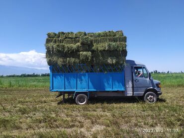 сл: Mercedes-Benz 416: 1989 г., 2.9 л, Механика, Дизель, Бус