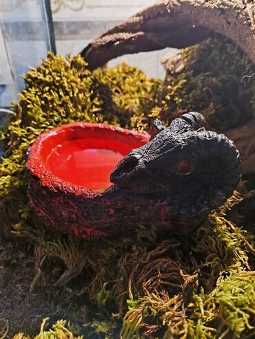 Зоотовары: 🌿 Украшения и декорации для аквариумов и террариумов 🌿 Продаю — 7