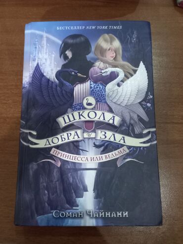книги фэнтези: Продаю книгу " Школа добра и зла" Соман Чайнани