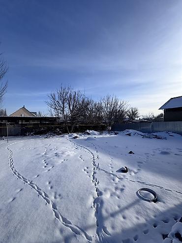 Sale of cottages and houses: Продается участок с домом в с.Ленинское Район: Ленинское село at lalafo.kg — 7 Sale of cottages and houses: Продается участок с домом в с.Ленинское Район: Ленинское село — 7