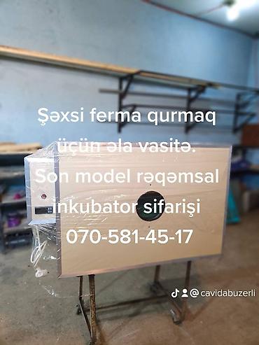 inkubator cucesi: Şəxsi quşçuluq ferması və biznes yaratmaq istəyənlərə unikal əlverişli — 2