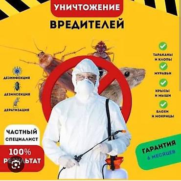келемиш: Дезинфекциялоо, дезинсекциялоо, | Таракандар, Кумурскалар, Вирустар, микробдор, | Батирлер — 1