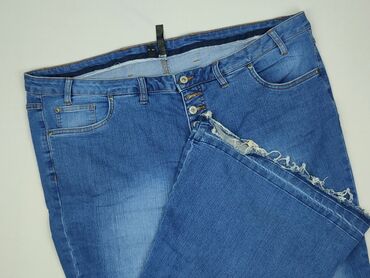 calvin klein jeans plus size: RAINBOW, Jeansy damskie, rozmiar 6XL