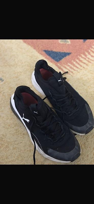 pull and: Кроссовки Puma для бега/тренировок - Модель: Puma (лого на боковой — 2