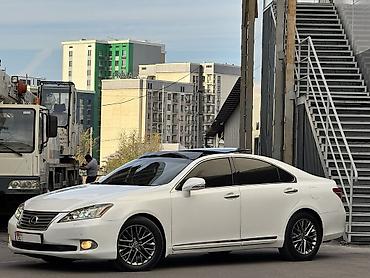 рога на лексус: Lexus ES: 2010 г., 3.5 л, Автомат, Бензин, Седан — 1
