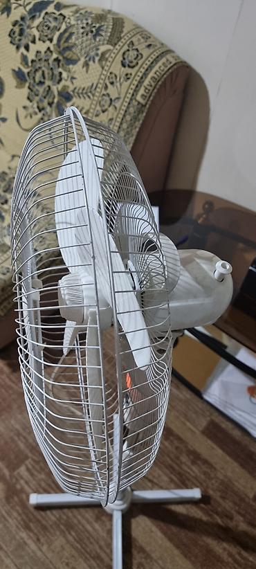 Детские ходунки: Декор Много всего разного от книг до комнатных растений Посуда бутыль — 8