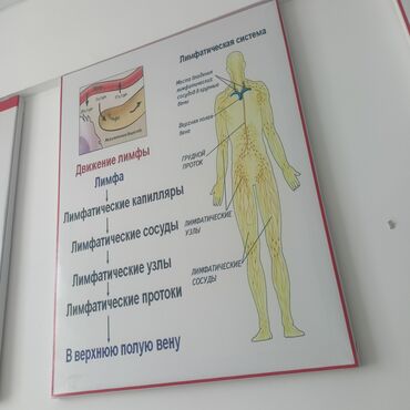 клининговая компания бишкек цены на услуги: Массаж | Дарылоочу | Остеохондроз, Кифос, лордоз, Көчүк нервинин кысылышы | Үйүнө баруу менен, Консультация