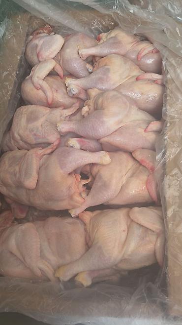 ətin qiyməti: Məhsul: Bütöv təzə toyuq - Halal kəsimdən gündəlik çıxan bütöv — 2