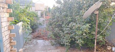 Uzunmüddətli kirayə mənzillər: Bilesuvarda pambıq zavodunun yanı bina evi 2 mərtəbənin 1 ci mərtəbəsi -da lalafo.az — 11 Uzunmüddətli kirayə mənzillər: Bilesuvarda pambıq zavodunun yanı bina evi 2 mərtəbənin 1 ci mərtəbəsi — 11