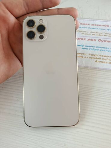 Apple iPhone: IPhone 12 Pro, 256 ГБ, Защитное стекло, Чехол, Кабель, 100 %