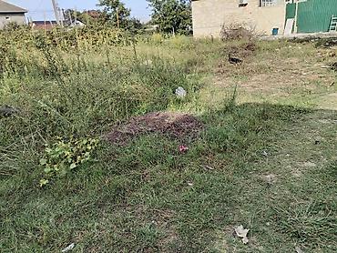 Uzunmüddətli kirayə evlər: 25 kv. m, 3 otaqlı, Qaz, Su, İnternet -da lalafo.az — 4 Uzunmüddətli kirayə evlər: 25 kv. m, 3 otaqlı, Qaz, Su, İnternet — 4