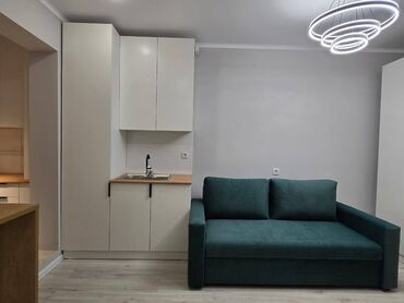 Продажа квартир: 1 комната, 27 м², Элитка, 3 этаж, Евроремонт