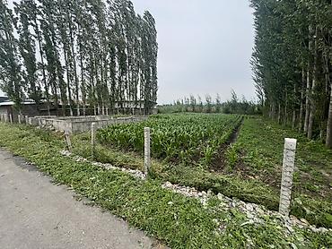 ысык куле: 9 соток, Курулуш — 3