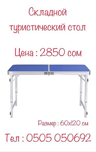 пл: Стол туристический складной Размер : 60х120 см Цвет : синий, белый — 4