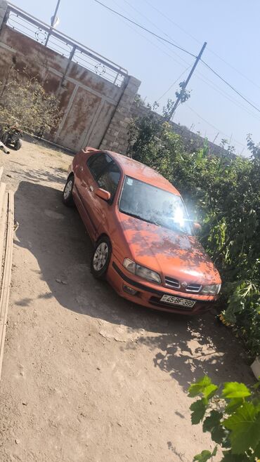 задняя фара в багажник ниссан примера р11: Nissan Primera: 1.6 л | 1996 г. Седан