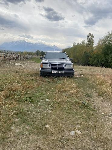 Mercedes-Benz: Mercedes-Benz W124: 1992 г., 2 л, Механика, Бензин, Седан — 9