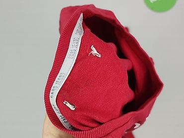 hello kitty s: Cars Jeans, Sukienka damska, rozmiar S — 4