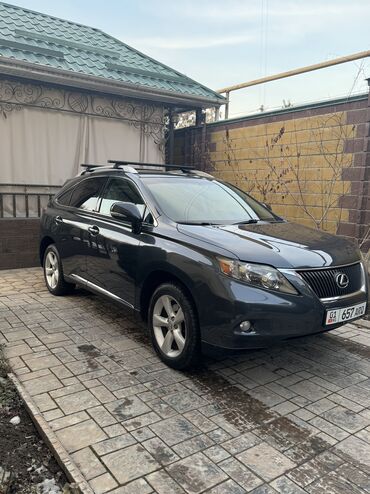 шина авто: Lexus RX: 2009 г., 3.5 л, Автомат, Бензин, Внедорожник