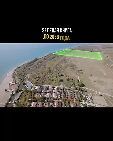 bay tash: 500 соток, Для бизнеса — 6