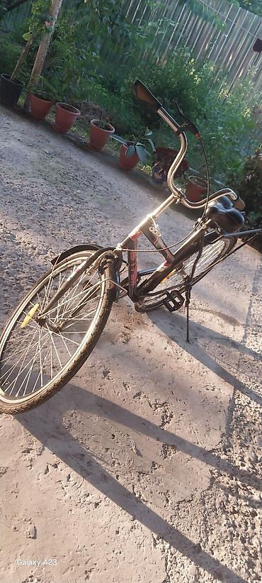 3 tekerli velosibet: Velosibet Klasik Günlük Həyat Əşya Daşıma 2 Kişi otura Bilər Və Arxa — 7