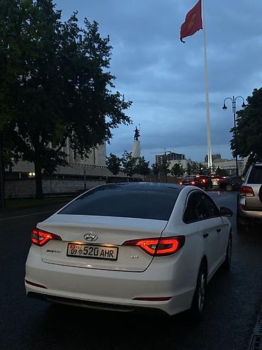 авто с кореи: Hyundai Sonata: 2019 г., 2 л, Автомат, Газ, Седан — 4