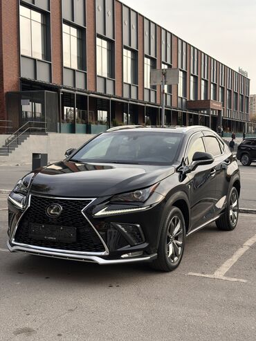 фитке чехол: Lexus NX: 2019 г., 2 л, Автомат, Бензин, Кроссовер