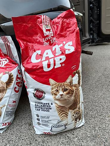 ucuz yem: Cat’s Up – tam və balanslaşdırılmış qidalanma üçün quru pişik yemi — 1