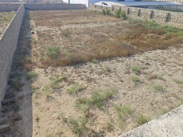 Torpaq sahələrinin satışı: 12 sot, Tikinti, Mülkiyyətçi, Kupça (Çıxarış) — 7