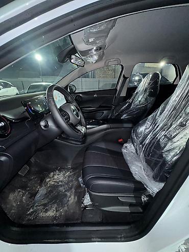 BYD: BYD E2: 2025 г., 1.5 л, Автомат, Электромобиль, Хэтчбэк — 9