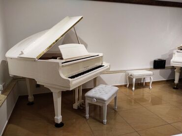 orxan zeynalli konsert bileti: Piano, Yeni, Pulsuz çatdırılma