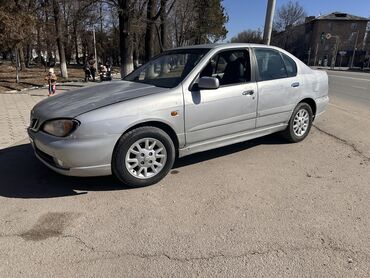 работа со своим авто: Nissan Primera: 2000 г., 1.8 л, Механика, Бензин, Седан