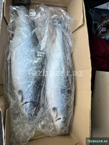 Balıq və dəniz məhsulları: ✅Syomqa (Somon) Qizil balıq ✅Okeandan Tutulub ✅ Təmizlənmiş Syomqa — 4