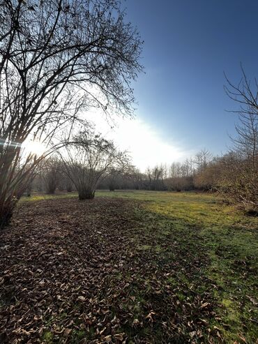 Torpaq sahələrinin satışı: Qəbələ rayonunun Soltannuxa kəndində magistral yolun düz kənarında — 4