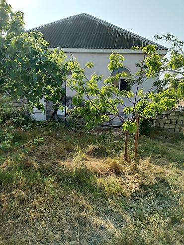 8 mkr: Salam hər vaxtınız xeyir,4 otaqlı geniş heyəti geniş bağı, ümumilikdə — 9