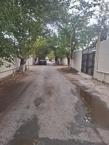 Torpaq sahələrinin satışı: 6 sot, Kupça (Çıxarış) — 4