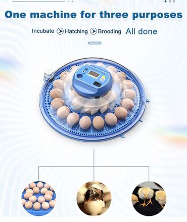 Oprema za kućne ljubimce: INKUBATOR Automatski nove generacije za 26 jaja 12v/220v — 9
