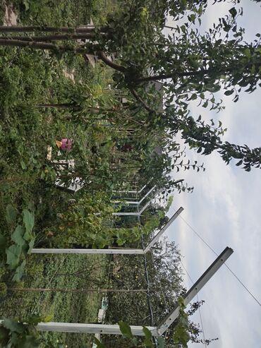 Həyət evləri və villaların satışı: 1 otaqlı, 36 kv. m, Yeni təmirli — 23